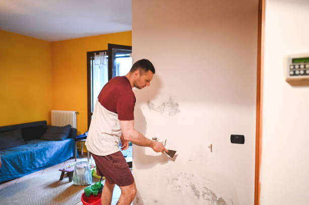 Best Professional Mold Removal  in Fayette, OH